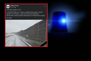 Bielsko-Biała: Przy ekspresowej drodze chodziło dziecko? Szokujący finał interwencji policji