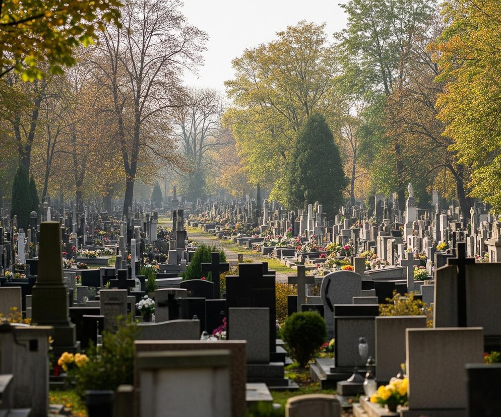 Długi rząd nagrobków i pomników cmentarnych wypełnia centralną część obrazu, rozciągając się w głąb perspektywy. Nagrobki są różnorodne pod względem kształtu i koloru, od ciemnych, czarnych i szarych po jaśniejsze, marmurowe odcienie, a wiele z nich jest ozdobionych kolorowymi kwiatami i zniczami. Po obu stronach rzędu nagrobków widać drzewa z liśćmi w jesiennych barwach, głównie odcieniach żółci, pomarańczu i zieleni, a słońce lekko oświetla górną część liści, tworząc złocisty blask. W tle widoczny jest blady, lekko zamglony horyzont, który wtapia się w jasne niebo.