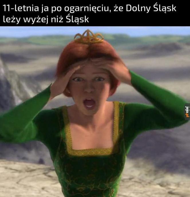 Memy o Śląsku i Ślązakach