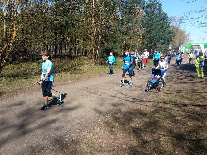 II edycja Bronek Run Forest Edition w Grudziądzu