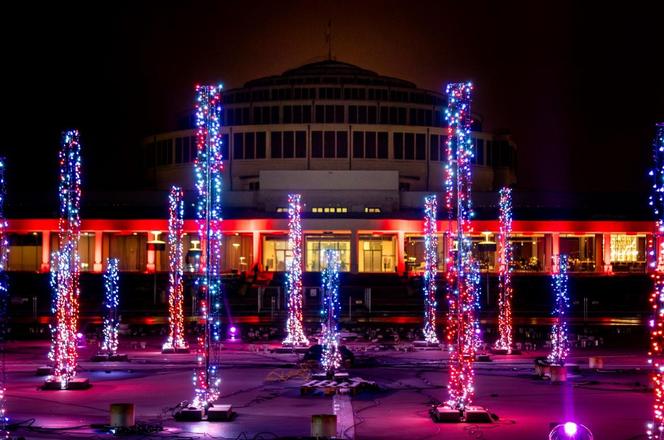 Pergolę warto odwiedzić również zimą! Zobacz pokazy świątecznych iluminacji [ZDJĘCIA]