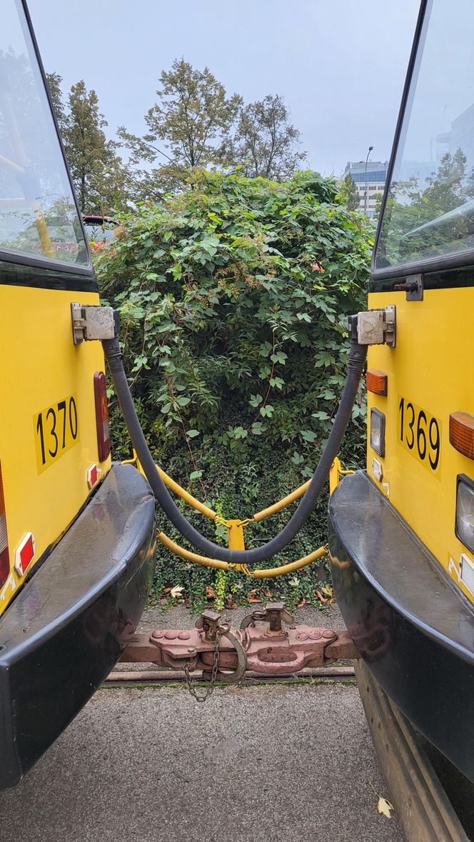 50 lat tramwajów 105N na warszawskich torach