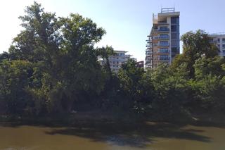 Góry śmieci na wrocławskich podwórkach. „Ludzie, co jest z wami?”