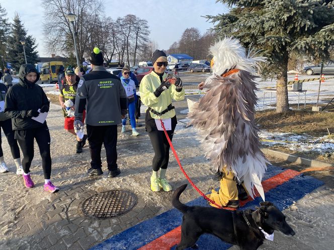 11. Dadajowy Bieg Morsa oraz Bieg na Sześć Łap 