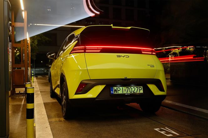 BYD DOLPHIN SURF
