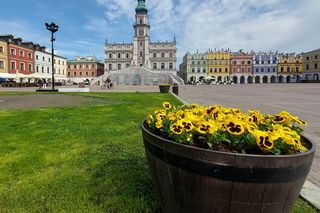 Wiosna w Zamościu. W mieście zrobiło się zielono. Zobacz zdjęcia!