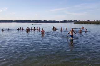 Morsy z Grudziądza rozpoczęły sezon. Pierwsza kąpiel w Jeziorze Rudnickim