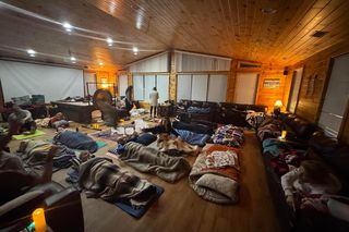 Morsy z Chicago poszukały ochłody w Michigan