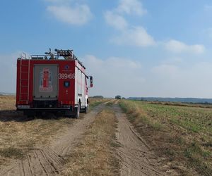 Dron Cześniki