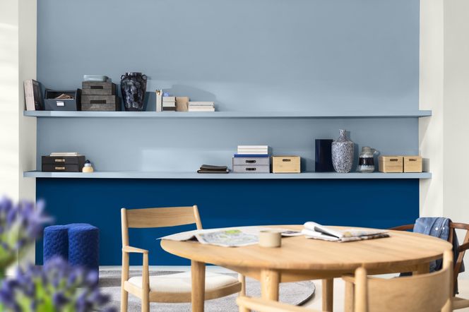 Kolor Roku 2026 Akzo Nobel