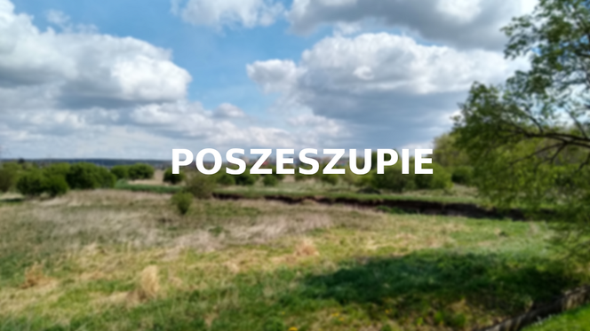Poszeszupie