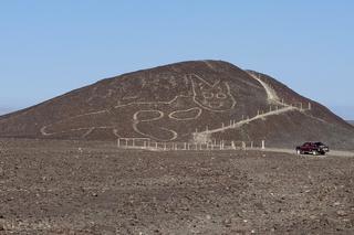 Niezwykłe odkrycie! Gigantyczny rysunek kota na płaskowyżu Nazca w Peru [ZDJĘCIA]