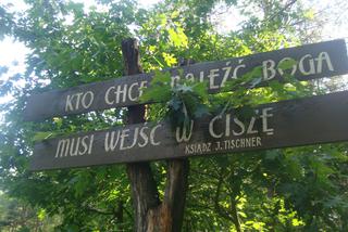 Pielgrzymka trzeźwości w niedzielę w Polanowie
