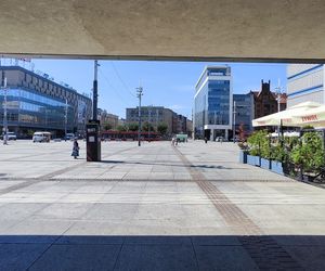 Katowice jak patelnia. Obowiązuje ruch cieniostronny. Nawet gołębie chowają się w cieniu