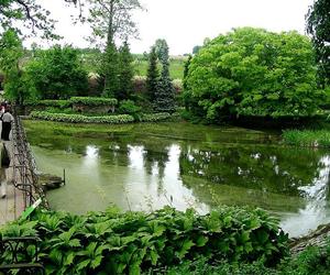 Arboretum Wojsławice - zdjęcia. Kiedy jechać?