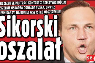 Radosław Sikorski ZWARIOWAŁ! Najpierw oskarża i drwi, a teraz zaprzecza