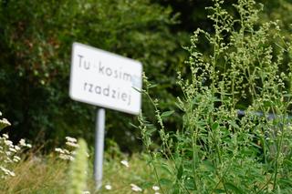 „Heloł Lublin”. Burzowa atmosfera w Parku Rury. Zobacz ZDJĘCIA