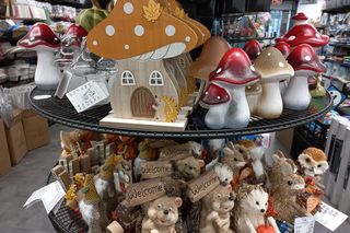 W sklepach w Lesznie już jesień. Poduszki dynie i liście do wazonu