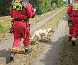 Zaginiona dziewczynka z Dziewkowic odnaleziona. Policja zatrzymała mężczyznę