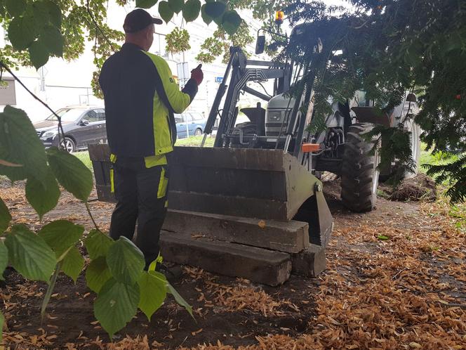 Bukszpany zrobiły miejsce na nowy pomnik w Lesznie. Poświęcony będzie żołnierzom generała Józefa Hallera