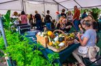 Wielki piknik kwietny finał 42. edycji konkursu „Warszawa w kwiatach”