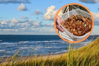 Bursztynowa gorączka na Mierzei Wiślanej! Plaże zamieniły się w kopalnie złota Bałtyku