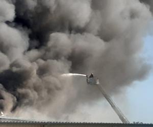 Potężny pożar hali produkcyjnej w Niwnicy 
