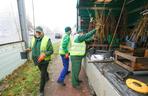 Zgierska będzie zielona! Pojawi się tam 600 sztuk pnączy