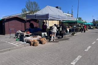 Ryneczek Jerzego w Gorzowie w okresie wiosenno-letnim. Jakie ceny truskawek?