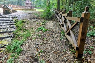 To najładniejsza trasa widokowa w woj. świętokrzyskim. Wybór AI