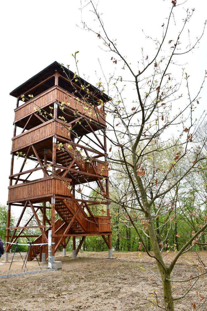 Wieża widokowa przy Zbiorniku Goczałkowickim otwarta. Można dzięki niej obserwować ptaki 
