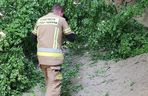 Wypadek w wąwozie Korzeniowy Dół