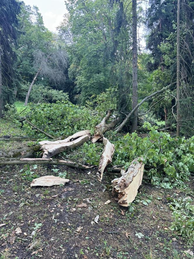 Łazienki Królewskie jednak zamknięte do odwołania