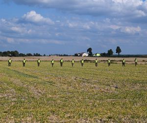 Poszukiwania dronów