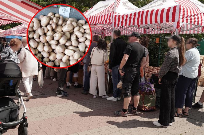 Euforia na straganie! Młode ziemniaczki z Polski robią furorę