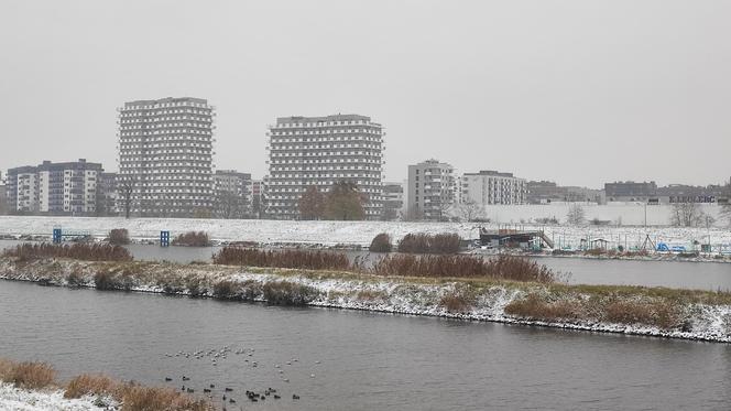 Wrocław pod śniegiem. Trudne warunki na drogach, korki, opóźnienia i awarie