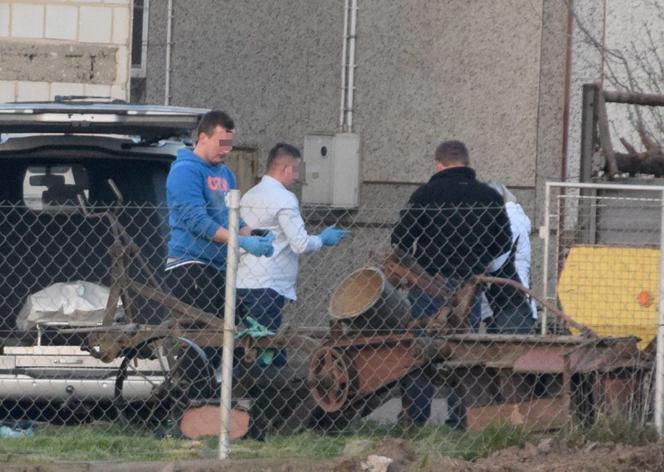 Rozrzutnik zmielił rolnika