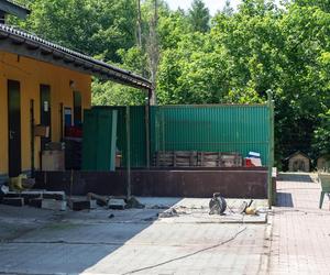 Rozpoczął się remont bytomskiego schroniska dla bezdomnych zwierząt. O jego realizacji zadecydowali mieszkańcy