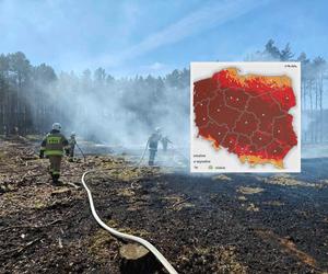 Możliwe duże zagrożenie pożarowe lasów. Instytut leśnictwa ostrzega przez pożarami