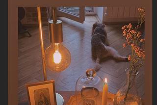 Iga Krefft (Ula z M jak miłość) na Instagramie pokazała mieszkanie