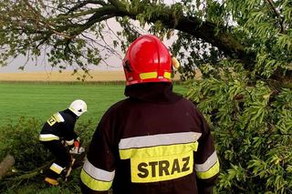 Potężna burza przeszła przez Bydgoszcz i region. Ponad 400 interwencji strażaków!