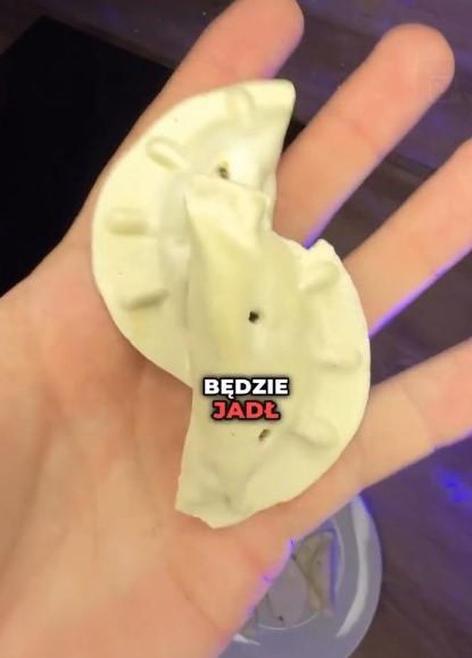 Tak wygląda jedzenie Sławosza Uznańskiego-Wiśniewskiego. Zje je w kosmosie 