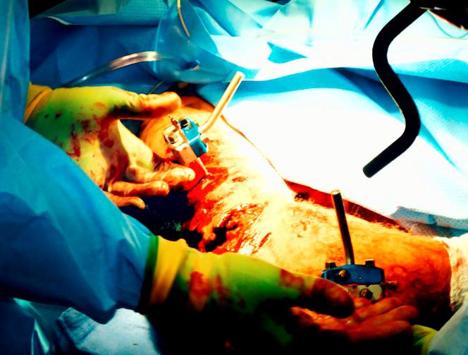 Poznajcie historię bohatera z Afganistan