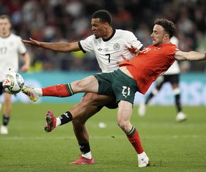 Diogo Jota nie żyje. W październiku grał na Narodowym z Polską