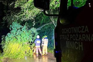 Burzowa noc w Śląskiem. Blisko 10 tys. osób bez prądu. Piorun popalił dom 