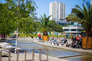 Las Palmas Katowice. Palmy wróciły na Rynek. Można tam poczuć żar tropików