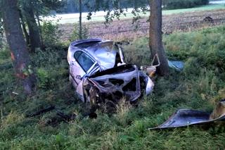 Do wypadku doszło ok. godz. 5:30 rano