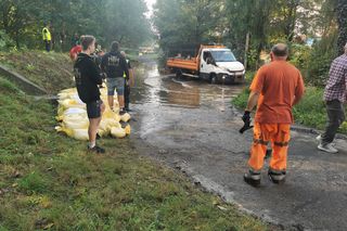 Atakują po deszczach. Ekspert ostrzega: Warunki idealne do plagi komarów