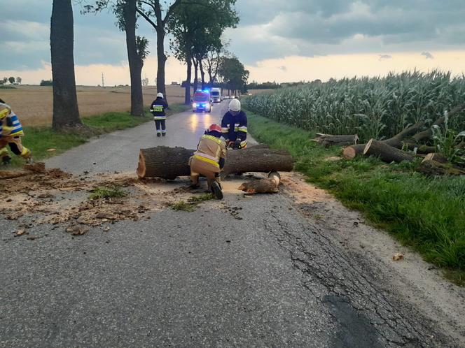 Interwencje po nawałnicach w Nowym Mieście Lubawskim