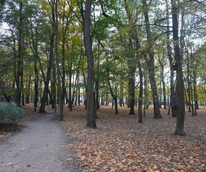 Park Lubomirskich w Białymstoku jesienią 